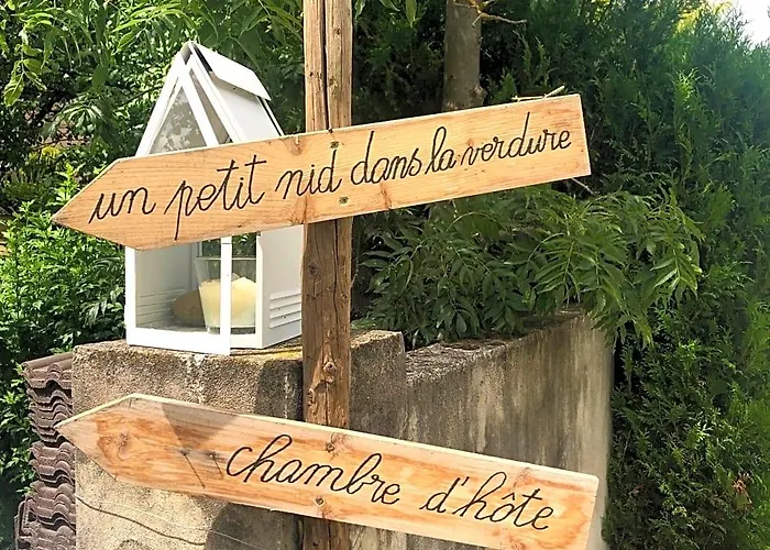 Un Petit Nid Dans La Verdure